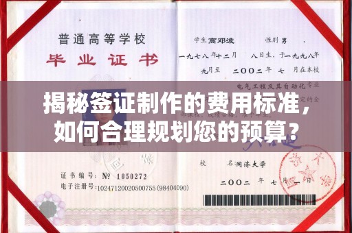 上蔡揭秘签证制作的费用标准，如何合理规划您的预算？