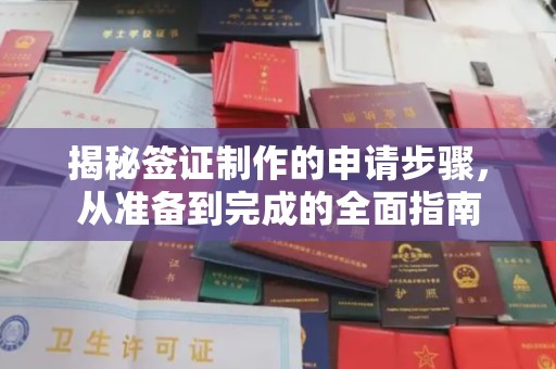上蔡揭秘签证制作的申请步骤，从准备到完成的全面指南