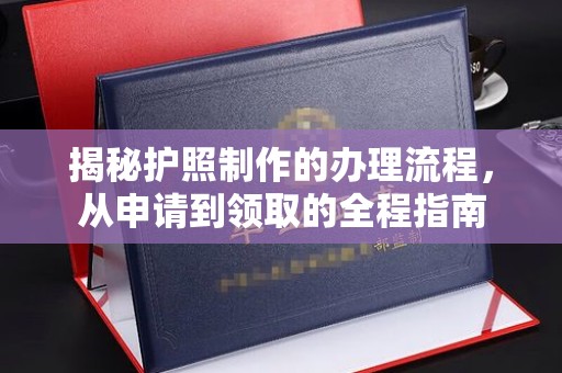 上蔡揭秘护照制作的办理流程，从申请到领取的全程指南