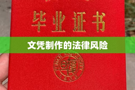 上蔡文凭制作的法律风险